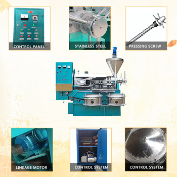machine de décorticage de graines de soja noisette 